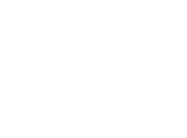 STH logo